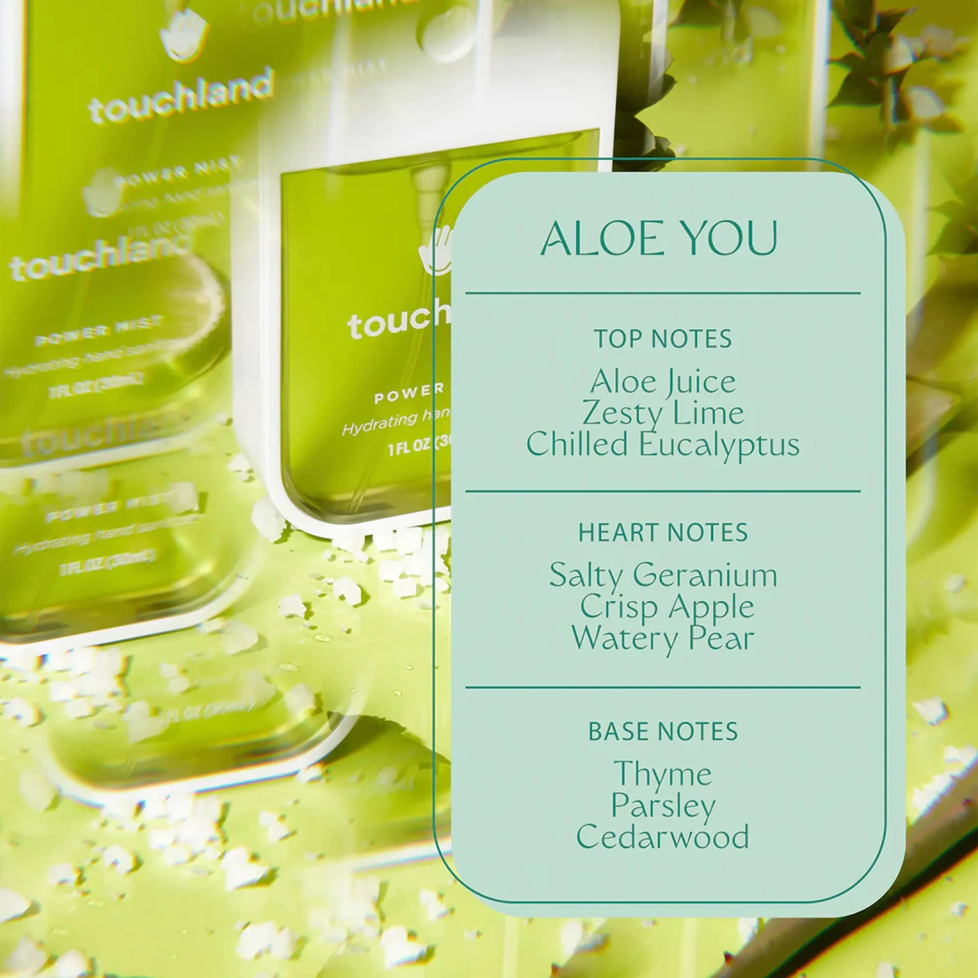 Touchland Hand Sanitizer - Aloe You
